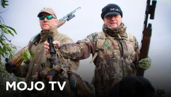 MOJO TV