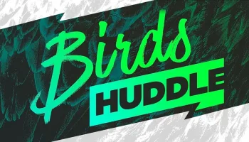 Birds Huddle