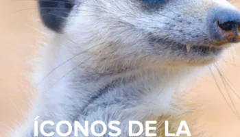 Íconos de la vida silvestre