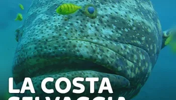 La costa selvaggia della Colombia