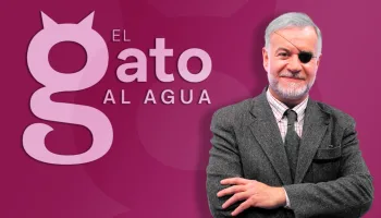 El gato al agua