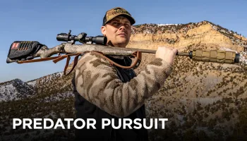 Predator Pursuit