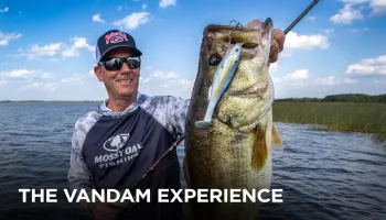 The VanDam Experience