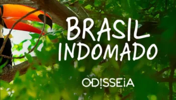Brasil Indomado