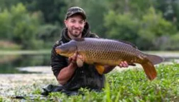 La rivière aux carpes noires