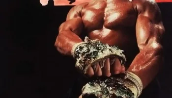 Kickboxer - Il nuovo guerriero