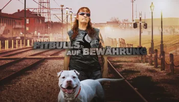 Pitbulls auf Bewährung