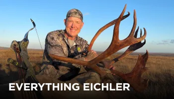 Everything Eichler
