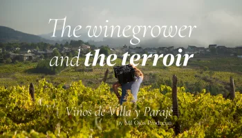 El Viticultor y la Tierra