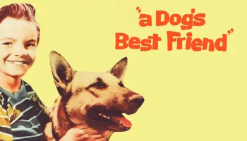 A Dog's Best Friend