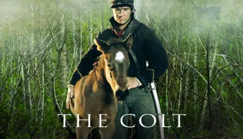 The Colt