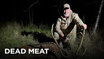 Dead Meat