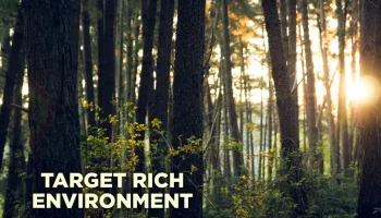 Target Rich Environment