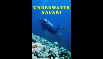 Underwater Safari