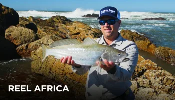 Reel Africa