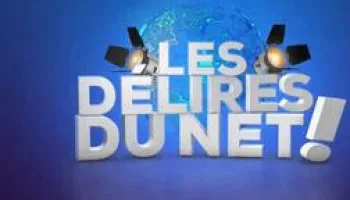 Les délires du net
