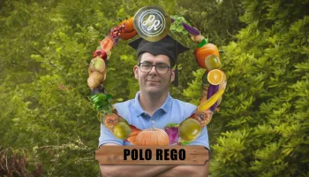 Polo rego