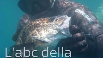 L'abc della pesca in apnea
