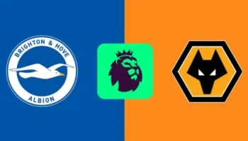 Premier League 2025-26 - Brighton & Hove Albion x Wolverhampton - Md36