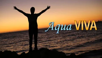 Aqua viva