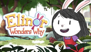 Elinor Wonders Why