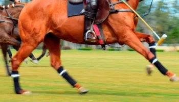 Polo Rider Cup Competition 2021