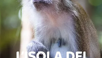 L'isola dei macachi