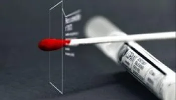 Sur la scène du crime