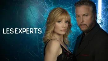 Les experts