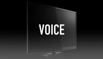 Voice
