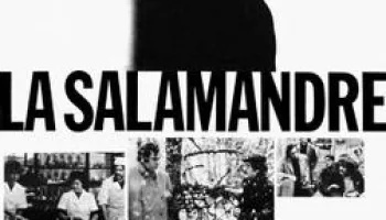 La salamandre