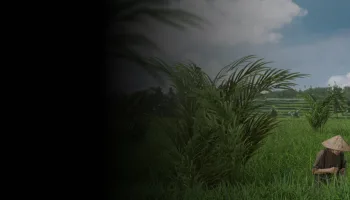 360° Reportage