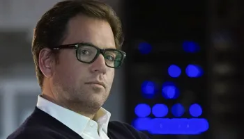 Bull