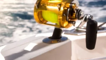 Reality Fishing: a pesca nel...