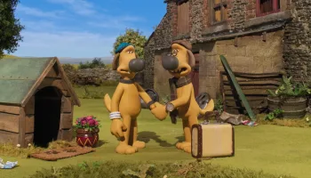 Shaun, vita da pecora