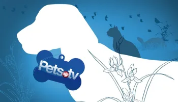 Pets.TV